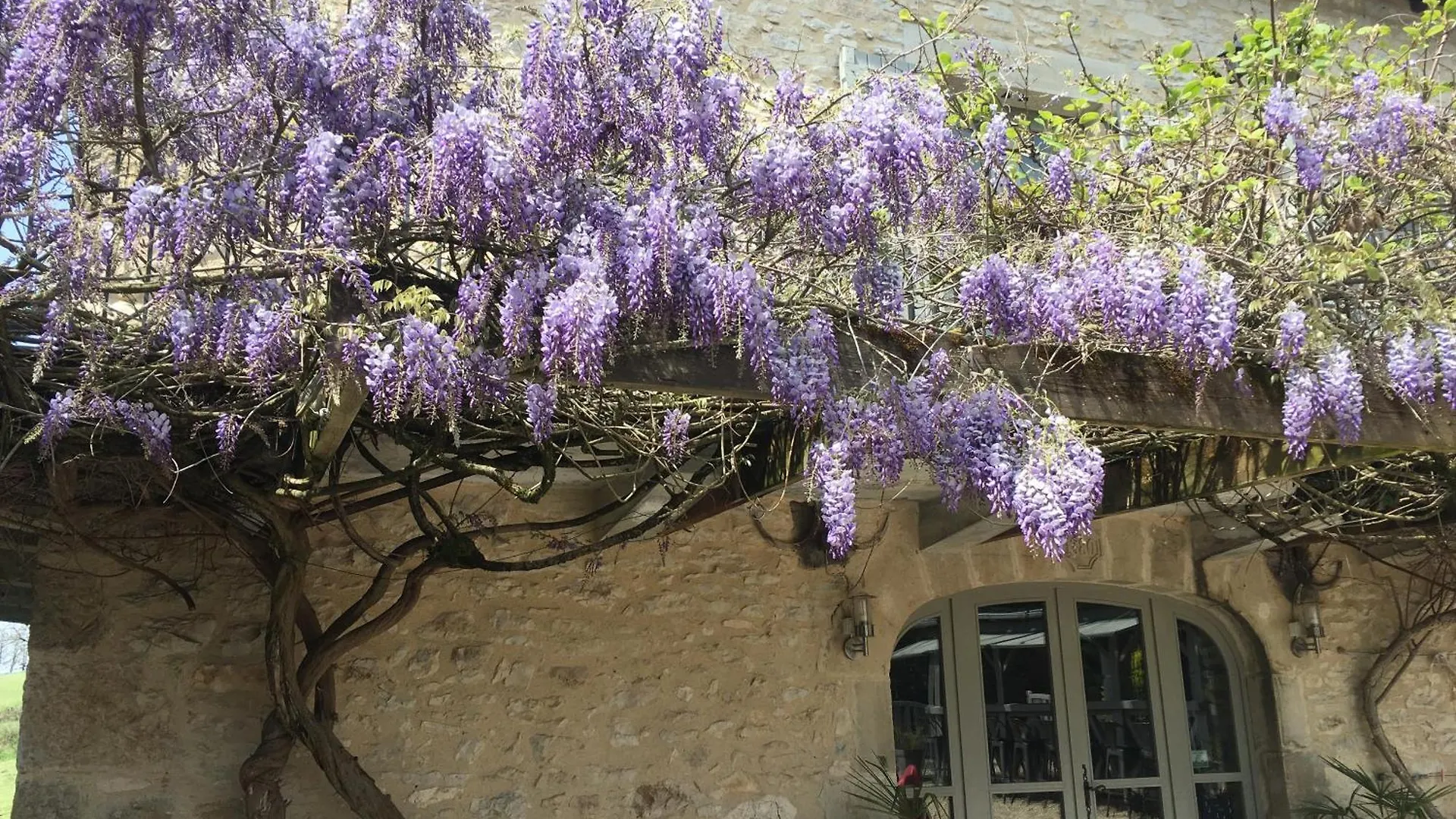 Le Mas De Jouas Saint-Remy  Saint-Remy (Aveyron)